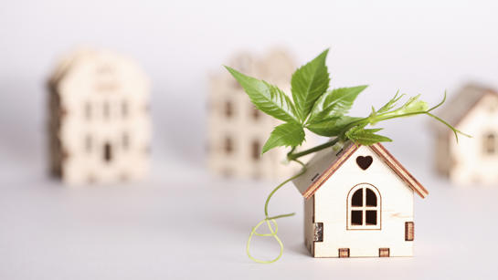 Home Green Sustainable