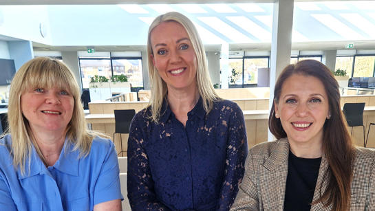 Development team updates