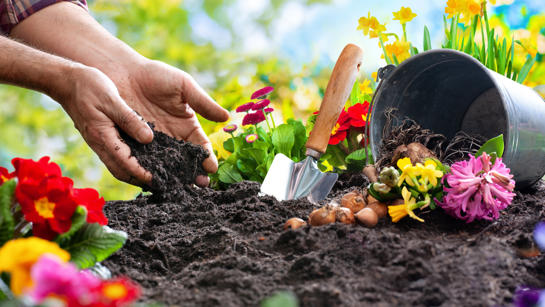 Gardening