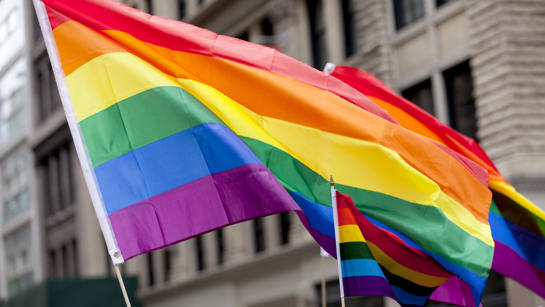 Rainbow Flag