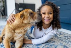 Child with her new dog