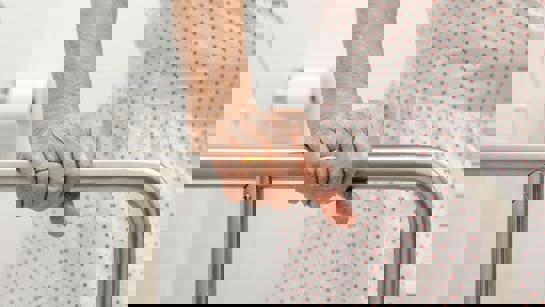 Grab Rail