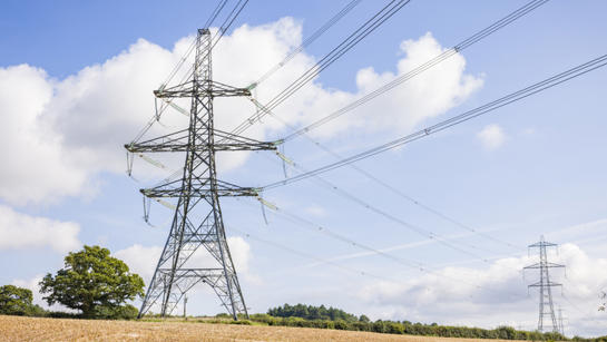Pylons In Field