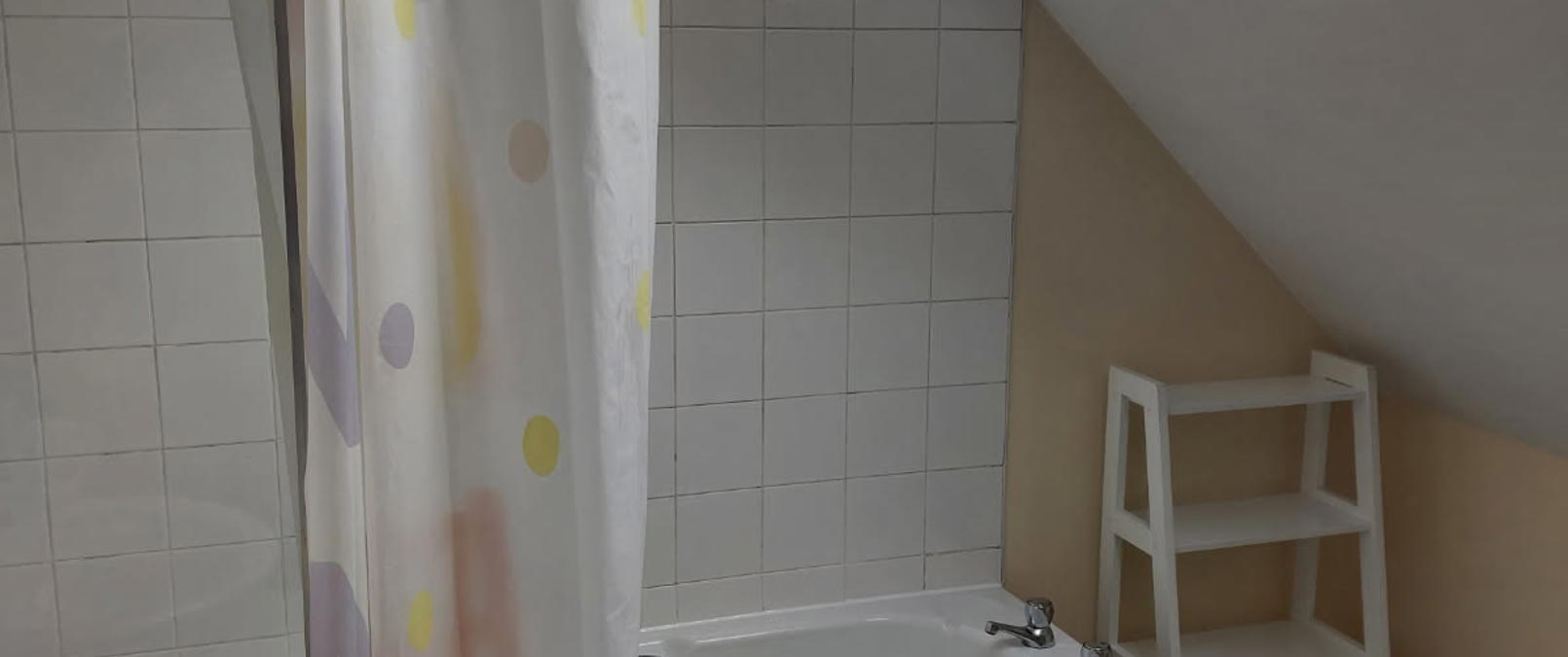 Lime Grove Walk bathroom