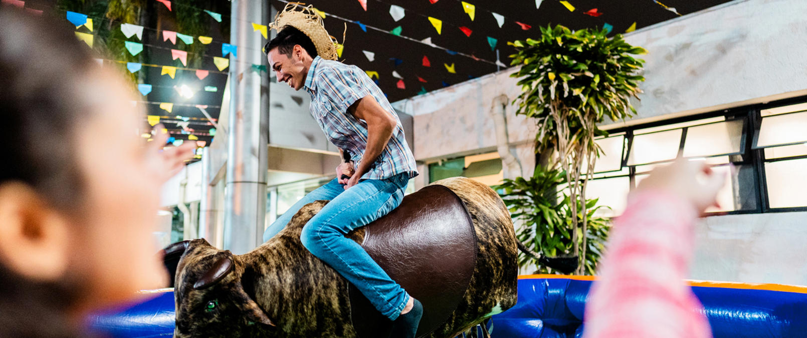 Rodeo bull